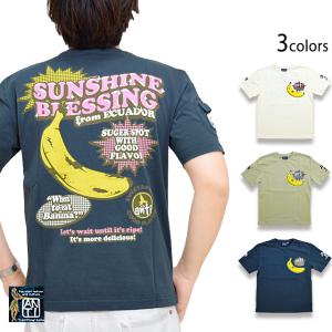 太陽の恵み半袖Tシャツ ANTI ATT-161 アンチ ハワイアン エフ商会 efu｜sakurastyle