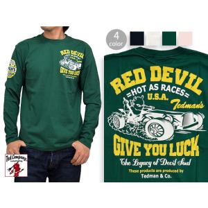 CAR RACE長袖Tシャツ TEDMAN テッドマン TDLS-317 ロンT エフ商会爆買