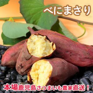 訳あり鹿児島さつまいも★プチサイズパック★5kg