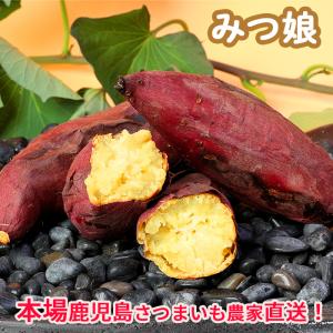 千葉県産（JAかとり）さつまいも 紅はるか 秀品 Mサイズ 約4.5kg（20本