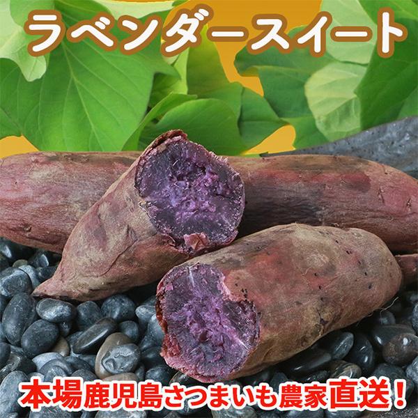 さつまいも　ラベンダースイート5kg