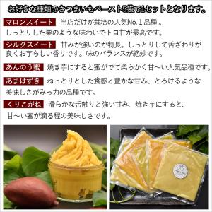 鹿児島産 さつまいもペースト 選べる5パックセ...の詳細画像2