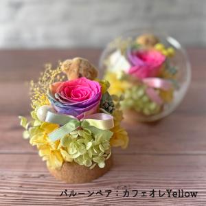 選べるラッピング仕様【バルーンベア】レインボー...の詳細画像5