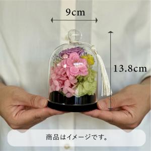 選べるラッピング仕様 ガラスドームコルク型プリ...の詳細画像5