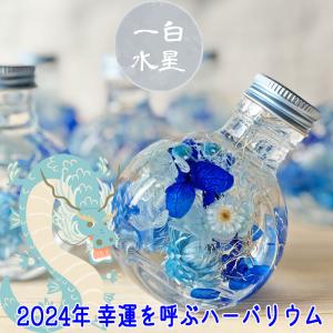 【幸運を呼ぶハーバリウム2024】専用ギフトラッピング仕様　説明書付き　一白水星ハーバリウム　2WAYブルーボトル　風水　三碧木星　九星気学　開運