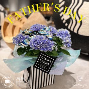 アジサイ あじさい 紫陽花 ギフト 誕生日 父の日 花 プレゼントおすすめ