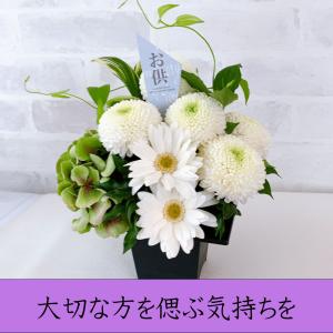 お供え 花 国産 菊 洋風お供え花 生花 お悔...の詳細画像3