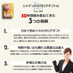カタログギフト 快気内祝 全快内祝 内祝 送料...の詳細画像1