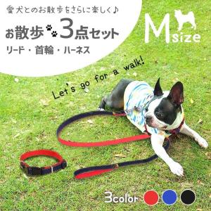 リード ハーネス 首輪 お散歩3点 セット XLサイズ 大型犬用 「全3色