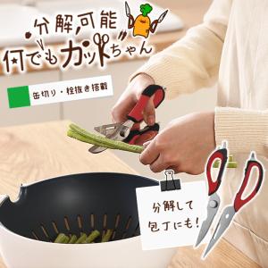 「普通郵便で」キッチンバサミ 分解 7つの術で何でもカットちゃん：ケース付き