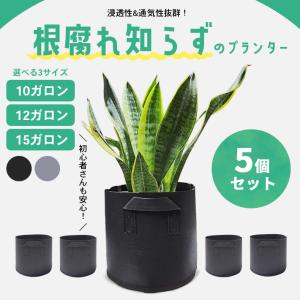 不織布 プランター 【5個セット 全2色】 家庭菜園 大型 軽量 10ガロン 12ガロン 15ガロン 布植木鉢 栽培袋 ガーデニング 園芸用品｜セールストア Yahoo!店