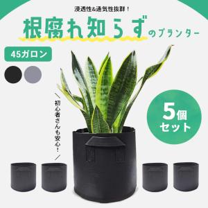 不織布 プランター 大型 45ガロン【5個セット 全2色】 家庭菜園 軽量 布植木鉢 栽培袋 ガーデニング 園芸用品｜sale-store