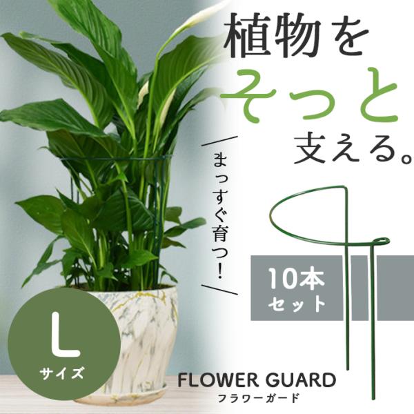 花 ささえ 支柱 ジョイント不要 「10本セット Lサイズ」幅25×高40×奥12cm フラワーガー...
