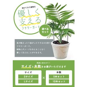 【5本 10本セット】 花 ささえ 支柱 ジョ...の詳細画像1