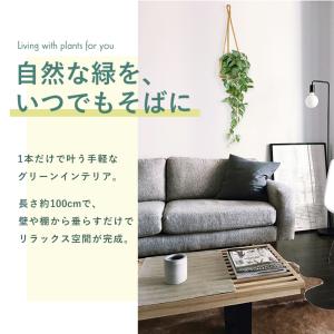【選べる7種類】フェイクグリーン 壁掛け 吊り...の詳細画像1
