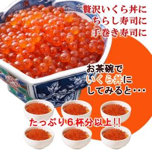 はらこ醤油漬け 500ｇ【送料無料】越後新潟村上 いくら イクラ 鮭 サーモン