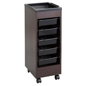 サロンワゴン（ブラウン）　5段収納　キャスター付き　ヘアサロン　FV-168