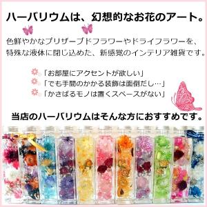 フラワーハーバリウム 紫陽花 選べるカラーアレ...の詳細画像4