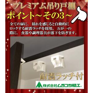 プレミアム吊戸棚【縦型】幅60L(奥行30) ...の詳細画像5