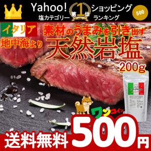 ポイント消化 送料無料 食品 お試し 500 岩塩 オープン記念 セール イタリア シチリア 200...