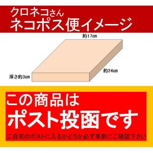 【2月20日を持ち一時休店致します】送料無料 ...の詳細画像2