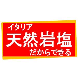 【2月20日を持ち一時休店致します】送料無料 ...の詳細画像4