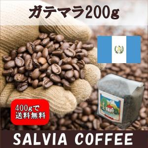 ガテマラ２００ｇ｜salvia-coffee