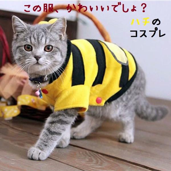 猫服　猫用コスプレ　蜂の猫服　キャットウェア　猫用の服