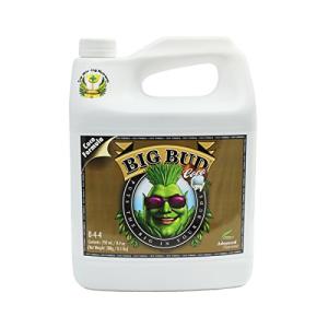 Advanced Nutrients Big Bud Coco 250 mL Brown/A 0.25 Liter