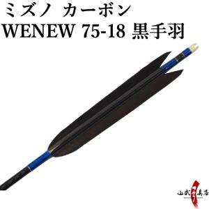 ヒロック様カーボン矢ミズノSST8024未使用黒鷲手羽根 ヒロック様カーボン矢ミズノSST8024未使用黒鷲手羽根 【公式通販】