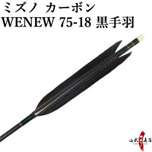 MIZUNO（ミズノ） カーボンシャフト WENEW（ウィニュー） WENEW8023 黒