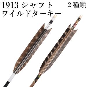 黒色矢6本と矢筒セット 楽天市場】矢 6本の通販