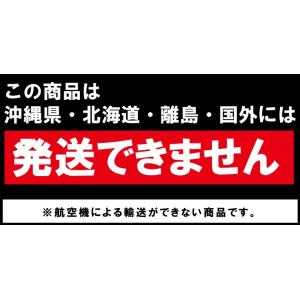 弓道 弓具 G17 ボンド 矢尻用 【N-03...の詳細画像1