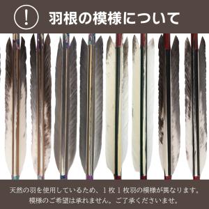 竹矢 オーダー製作 並篦 花白鳥 6本組 弓道...の詳細画像1