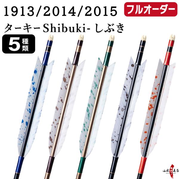 フルオーダー製作矢 1913/2014/2015 ターキー Shibuki しぶき 6本組　羽根(5...
