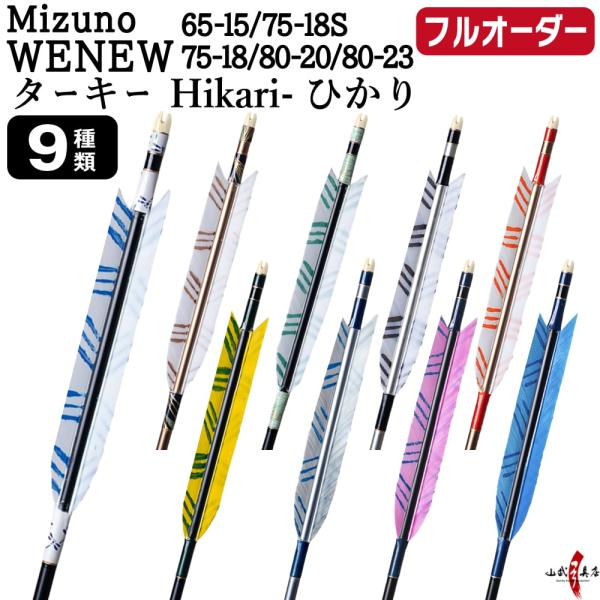 フルオーダー製作矢 Mizuno WENEW ターキー Hikari ひかり 6本組　(65-15/...