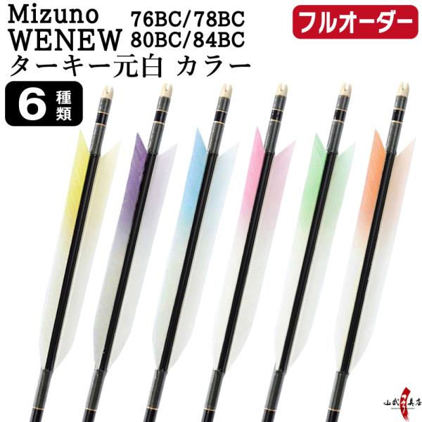 フルオーダー製作矢 Mizuno WENEW BC カーボン ターキー 元白 カラー 6本組　76B...