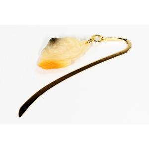 食品サンプル　しおり　あさり