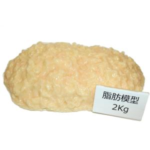 Amazon | 脂肪模型 1kg | 生物・動物・人体 | おもちゃ