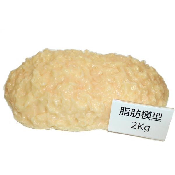 実物重量　脂肪サンプル　2ｋｇ　食品サンプル　脂肪模型　ダイエット　トレーニング