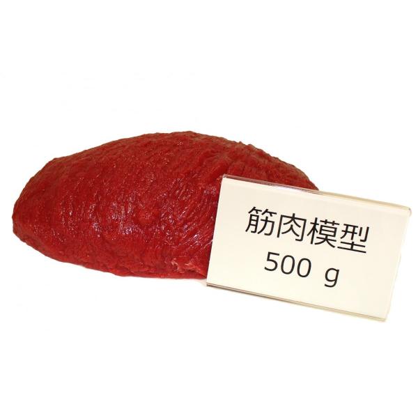 実物重量　筋肉サンプル　500ｇ　食品サンプル　筋肉模型　ダイエット　トレーニング