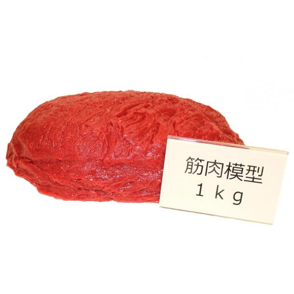 実物重量　筋肉サンプル　1ｋｇ　食品サンプル　筋肉模型　ダイエット　トレーニング