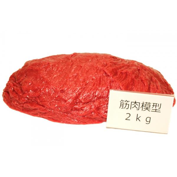 実物重量　筋肉サンプル　2ｋｇ　食品サンプル　筋肉模型　ダイエット　トレーニング