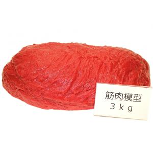 実物重量 脂肪サンプル 2kg 食品サンプル 脂肪模型 ダイエット