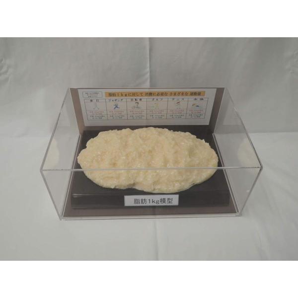 脂肪模型 フィギアケース入 1kg ダイエット 健康 肥満 トレーニング フードモデル 食品サンプル