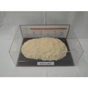 実物重量 脂肪サンプル 2kg 食品サンプル 脂肪模型 ダイエット