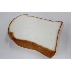 実物重量 脂肪サンプル 3kg 食品サンプル 脂肪模型 ダイエット