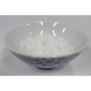 脂肪模型 フィギアケース入 500g ダイエット 健康 肥満