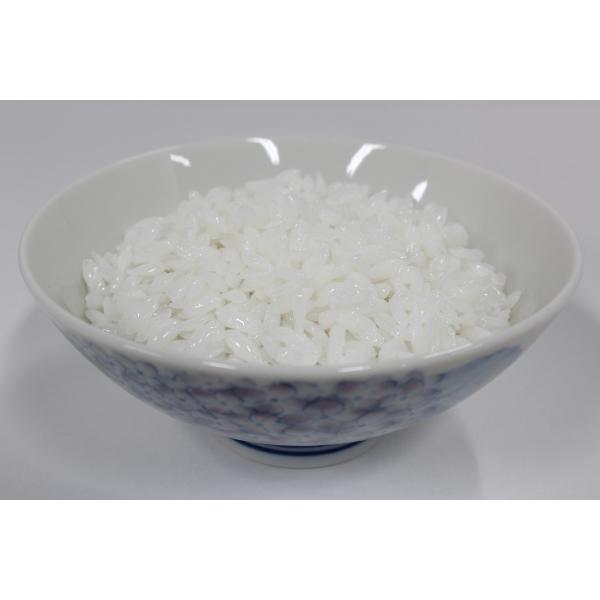 【病院食】実物分量　ごはん100g　168kcal　食品サンプル　フードモデル　ダイエット　トレーニ...