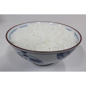 病院食】実物分量 ごはん250g 420kcal 食品サンプル フードモデル